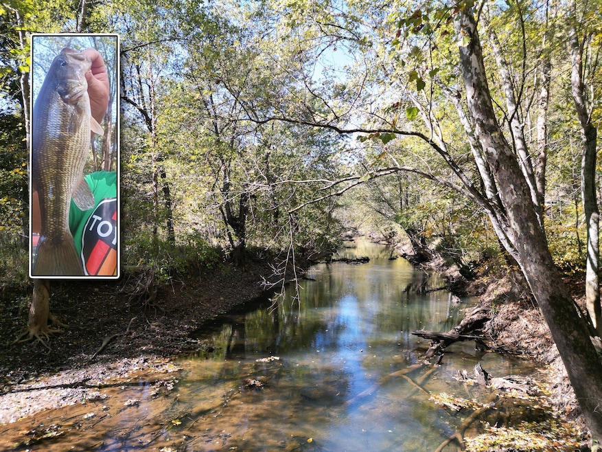 1462 Keystone Rd, Vinton, OH 45686 - photo 1