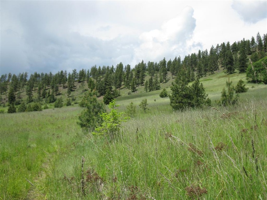 Valley view