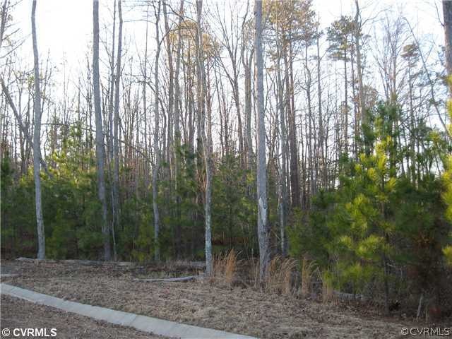 Exterior Front - Nice wooded lot
