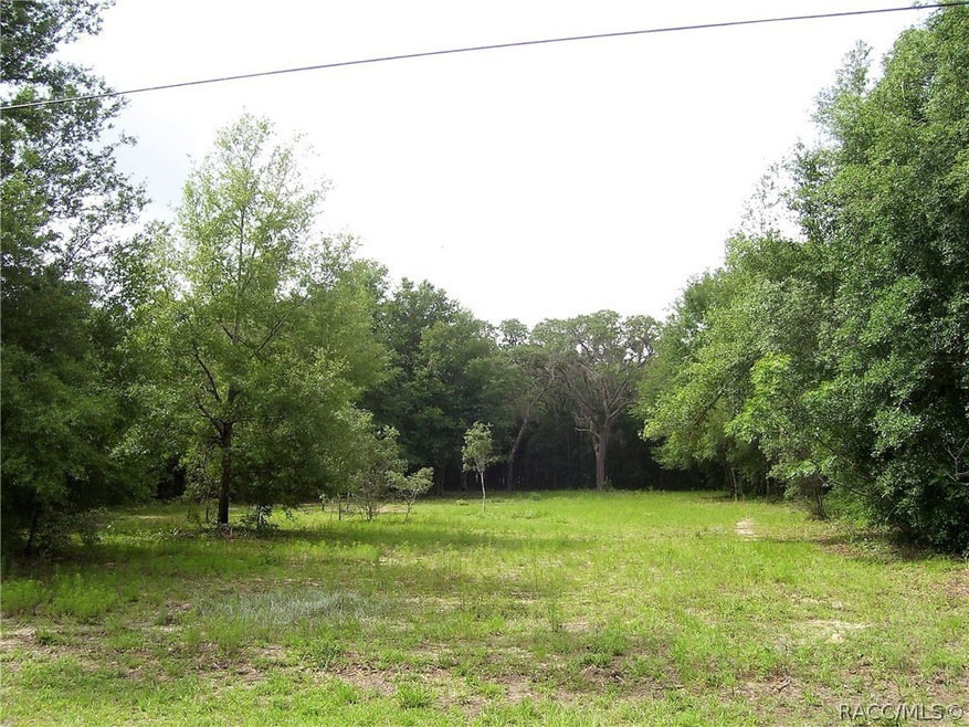 Level, lightly cleared property.