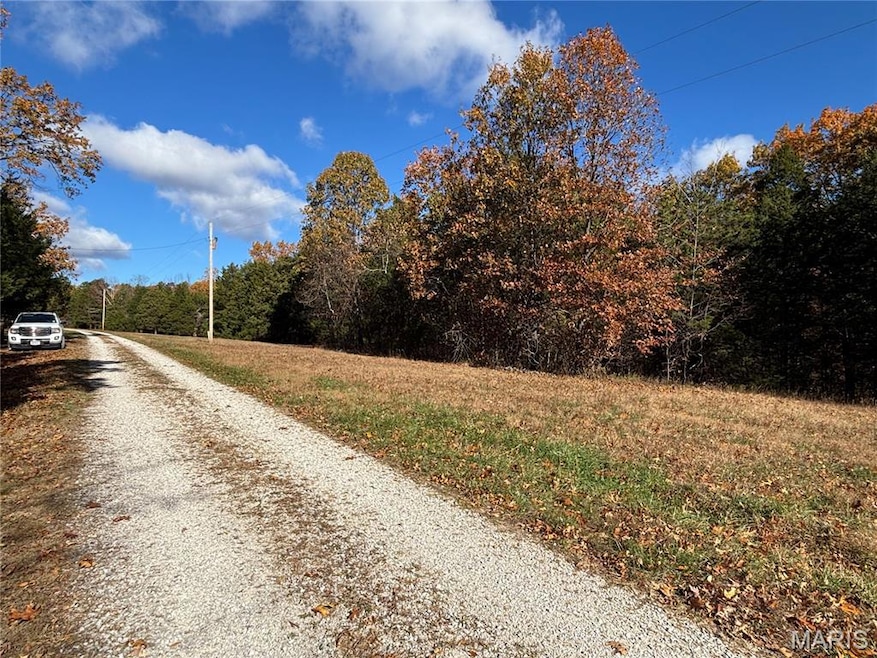 View of dirt / gravel road with a wooded view