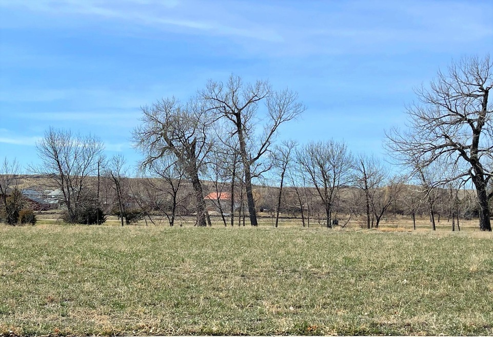 Lot 23