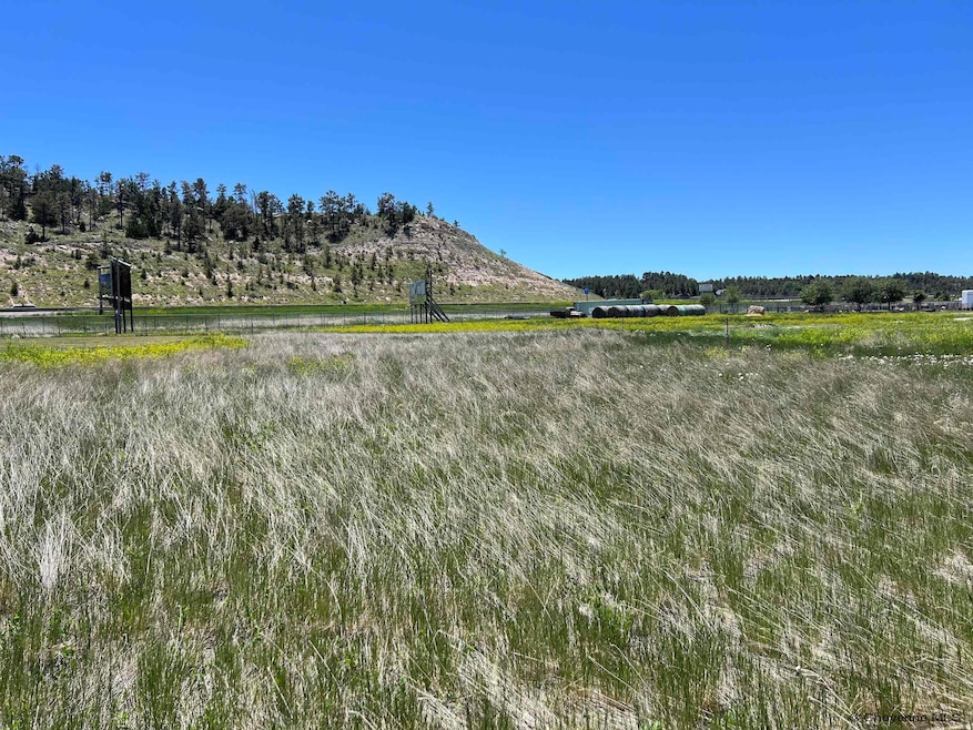 Lot 4 E 6th St, Pine Bluffs, WY 82082 - photo 1