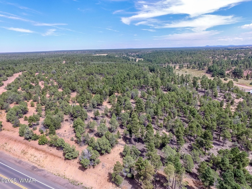 Drone View