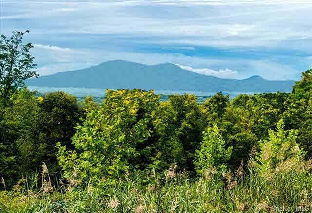 0 Mitchell Ln unit ONEHM321013, Milan, NY 12571 - photo 1