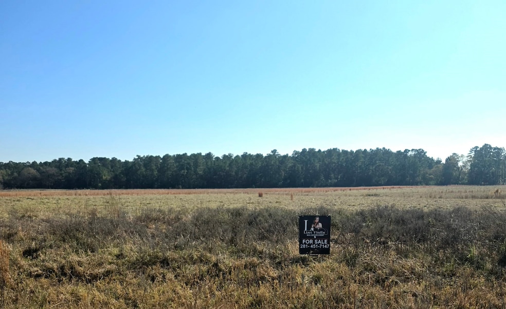 TBD Clearlake Ln, Crockett, TX 75835 - photo 1