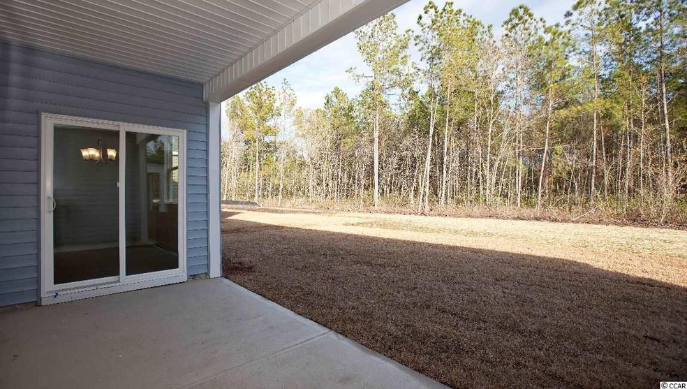 3004 Holly Loop unit Lot 55 Alston-B, Conway, SC 29527 - photo 1