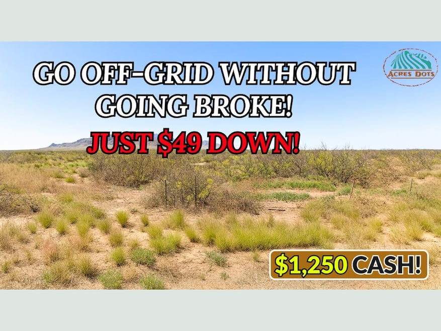 Deming Lun unit a New Mexico, Sunshine, NM 88030 - photo 1