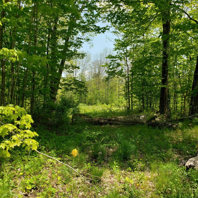20190603_120446