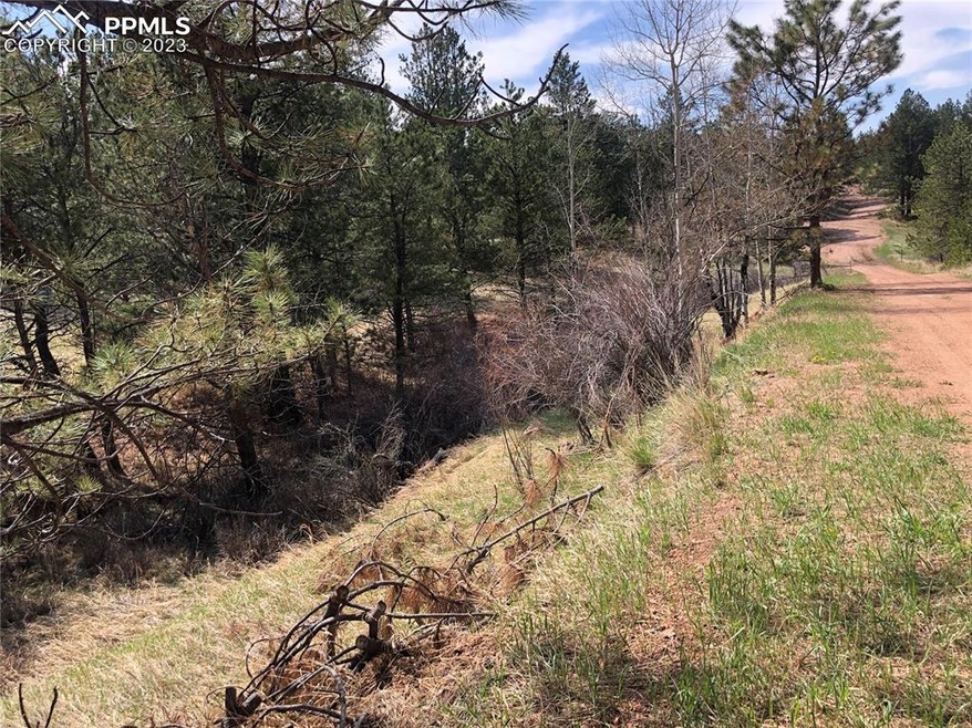 Sold  • Co-Listing Agent