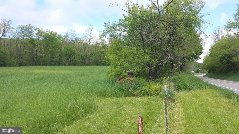 0 Buttercup Dr unit 1000146837, Mathias, WV 26812 - photo 1