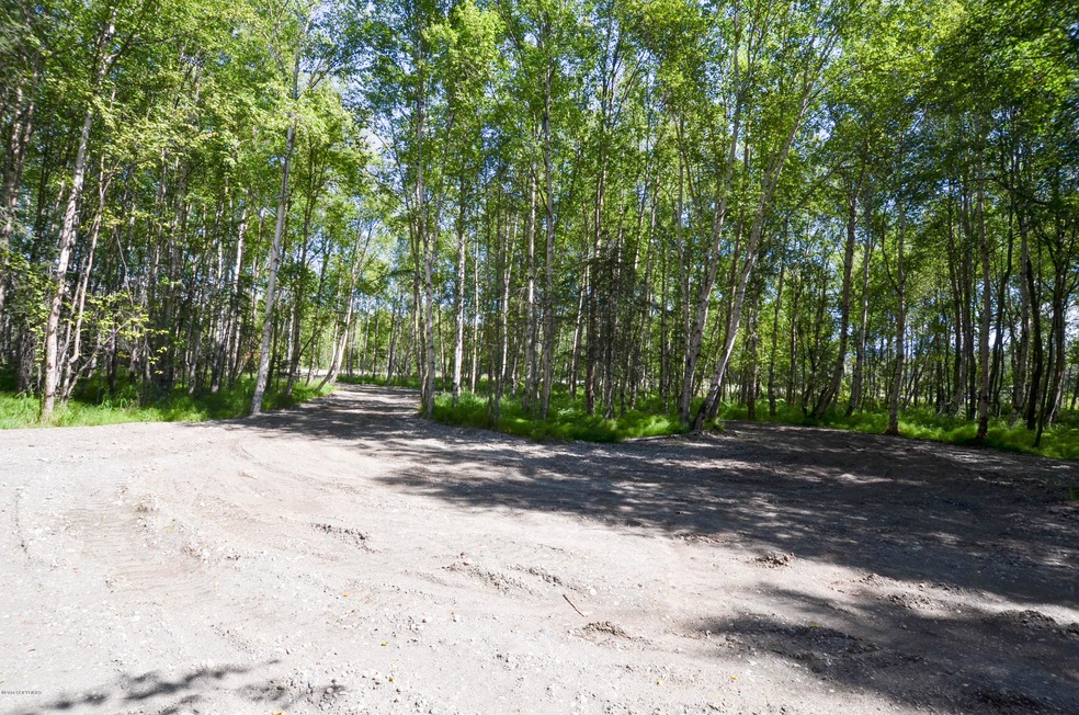 Circle Driveway