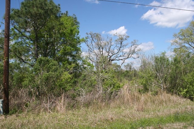 Lot 70 Ash Dr, Brazoria, TX 77422 - photo 1