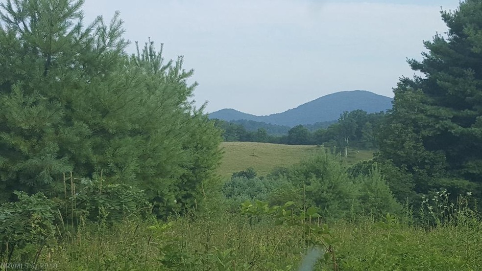 View of the Buffalo.