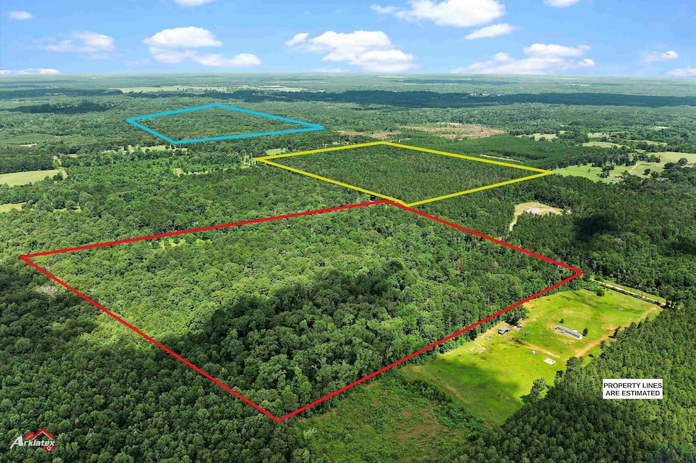 Aerial view of property's location featuring a forest and property parcel outlined