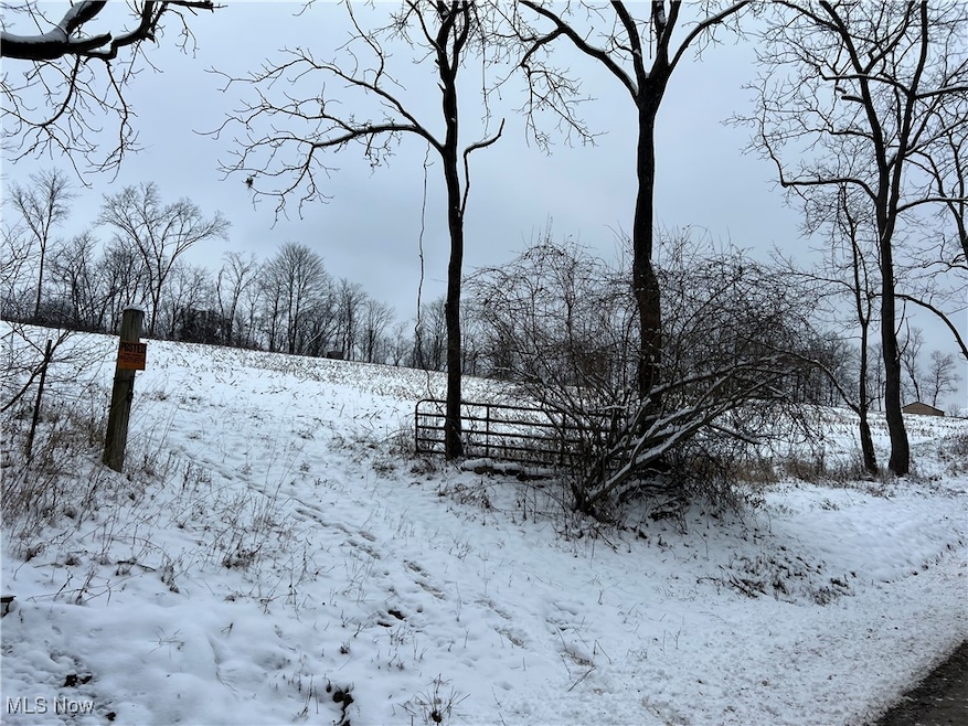 0 Rice Rd SW, New Phila, OH 44663 - photo 1