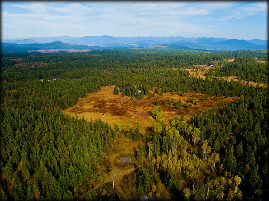 Your Country Homestead