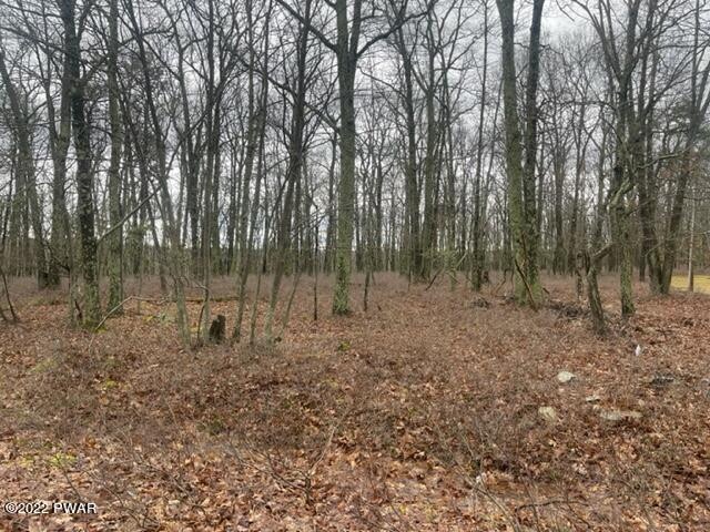 146 Ash Ln, Dingman Township, PA 18337 - photo 1