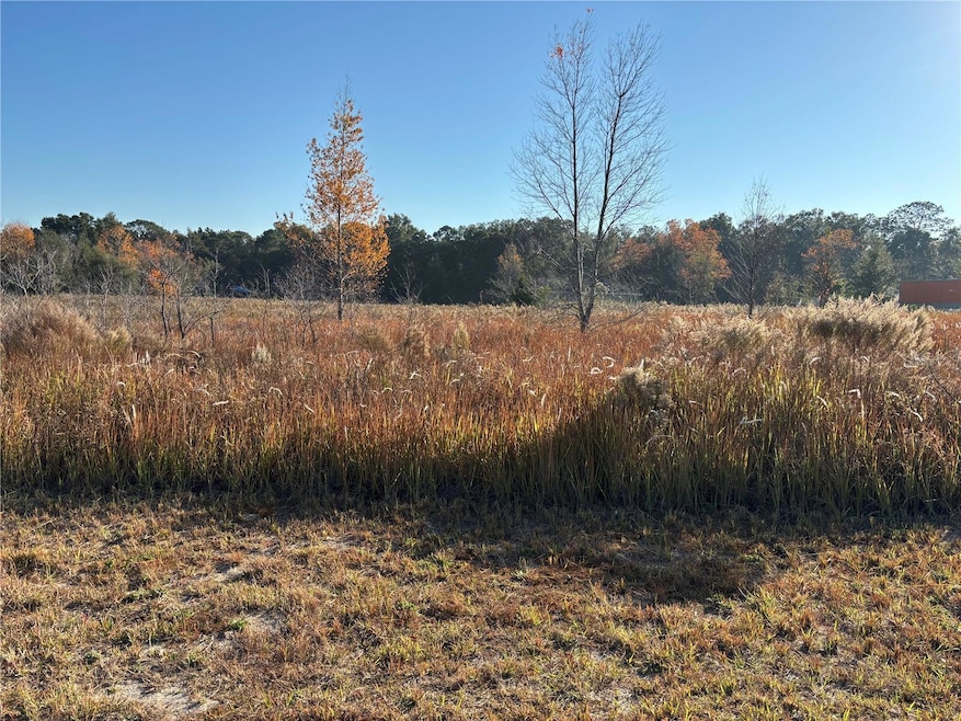 0 0 Sw 32nd Place, Ocala, FL 34481 - photo 1