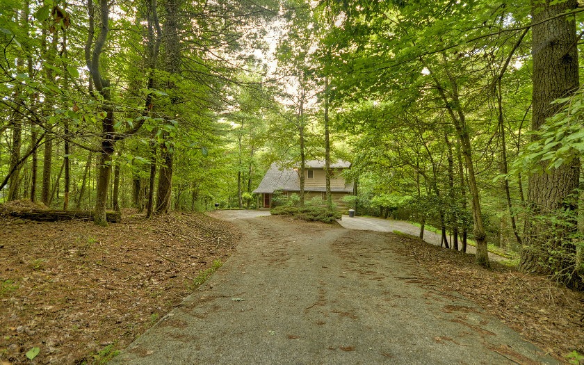 Main View