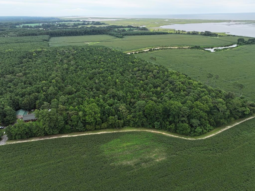 0 Fox Grove Rd, Parksley, VA 23421 - photo 1