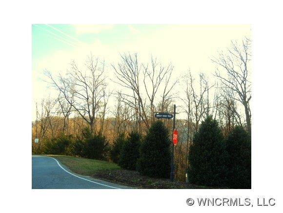 85 Smokey Ridge Trail unit 193, Arden, NC 28704 - photo 1