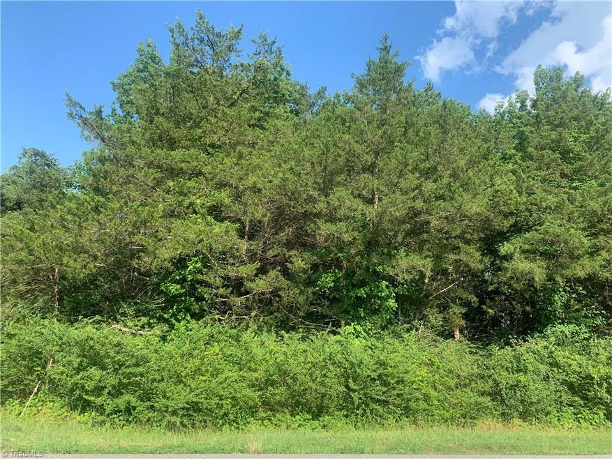 0 Zoo Pkwy, Asheboro, NC 27205 - photo 1