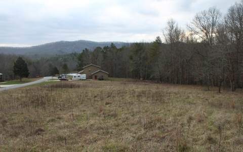 Main View