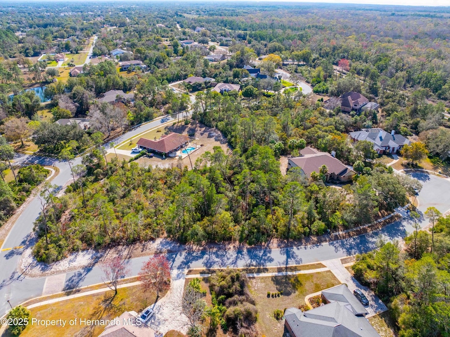 DJI_20250202052156_0001_D