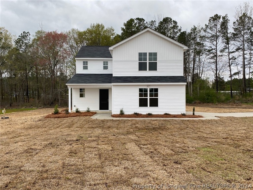 67 Dalmation (Lot 27) Ln, Parkton, NC 28371 - photo 1