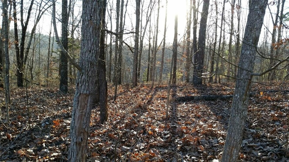 0 Pickering Dr unit 1073330, Bella Vista, AR 72714 - photo 1