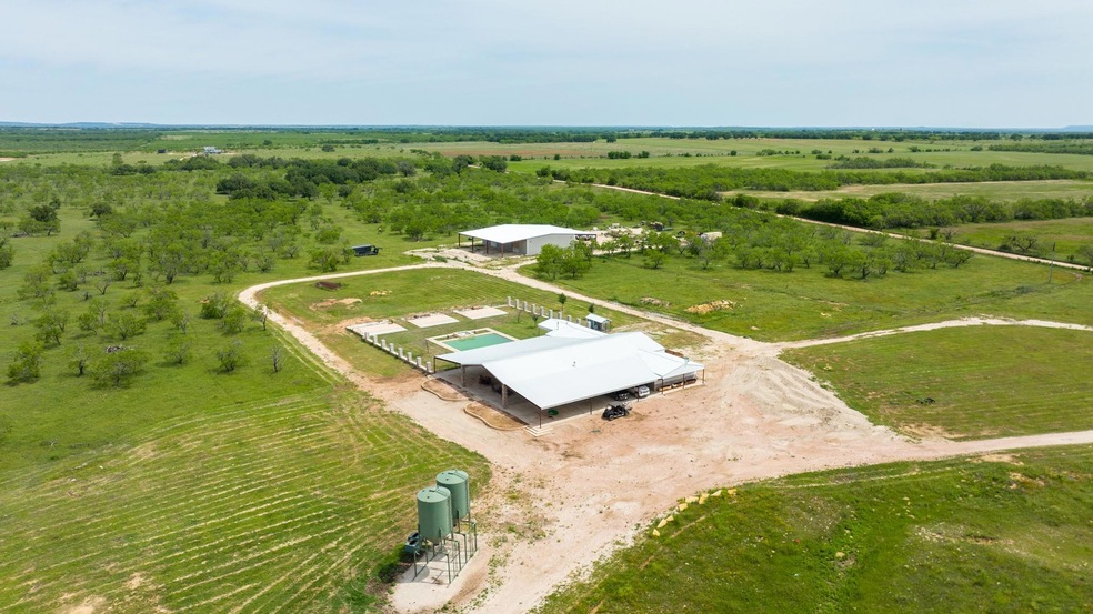 20449 County Road 247, Clyde, TX 79510 | MLS# 20365326