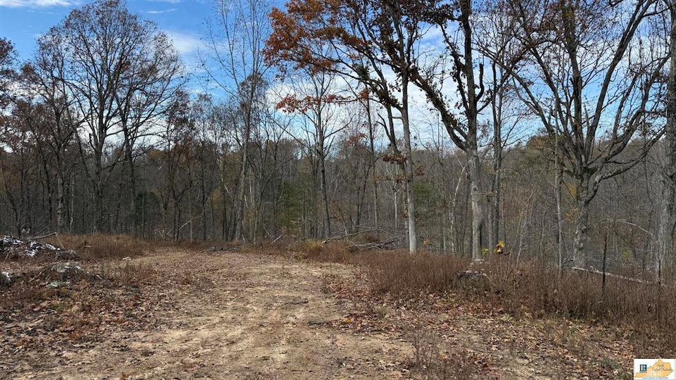 0 Gaddie Cottrell unit SC47484, Bonnieville, KY 42713 - photo 1