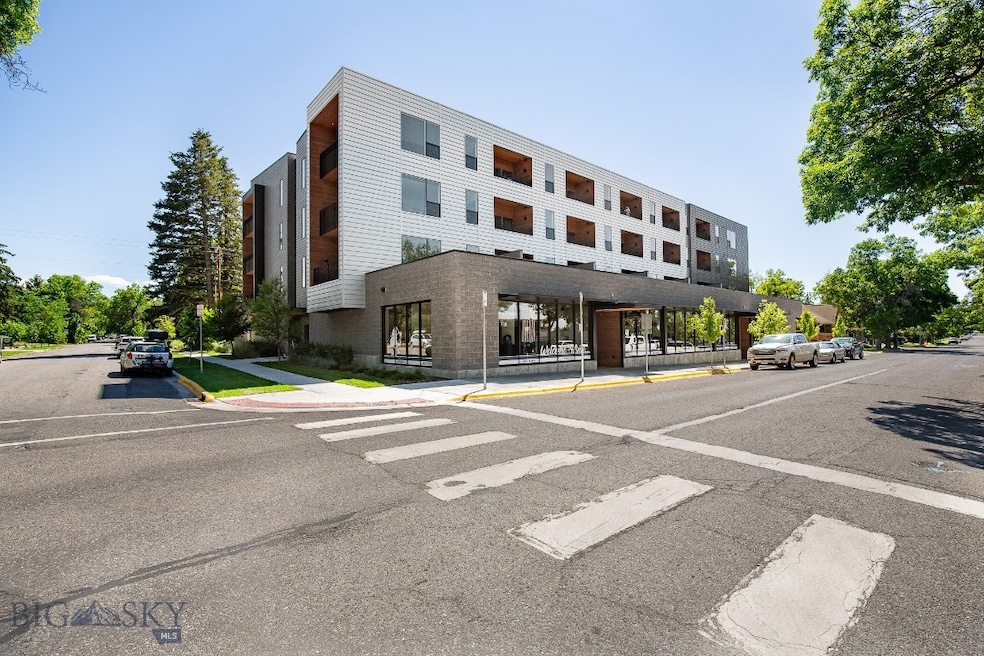 718 W Babcock St unit 310, Bozeman, MT 59715 - photo 1