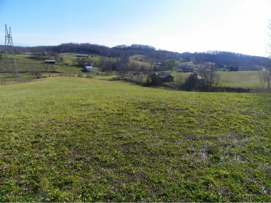 TBD Old Baxter Rd, Fall Branch, TN 37656 - photo 1