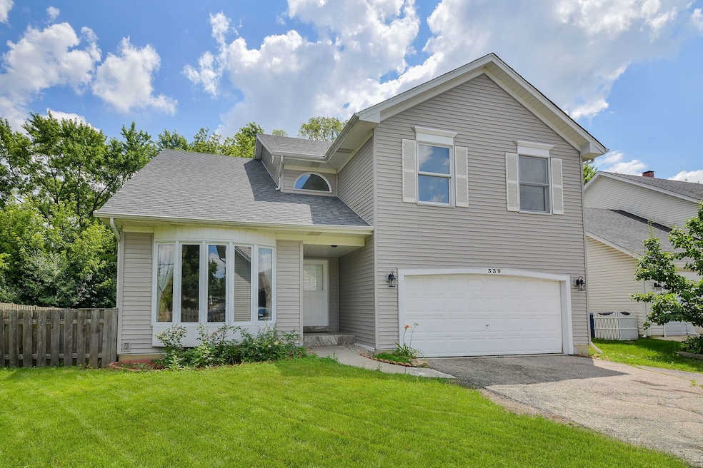 339 Windsor Dr, Bartlett, IL 60103 - photo 1