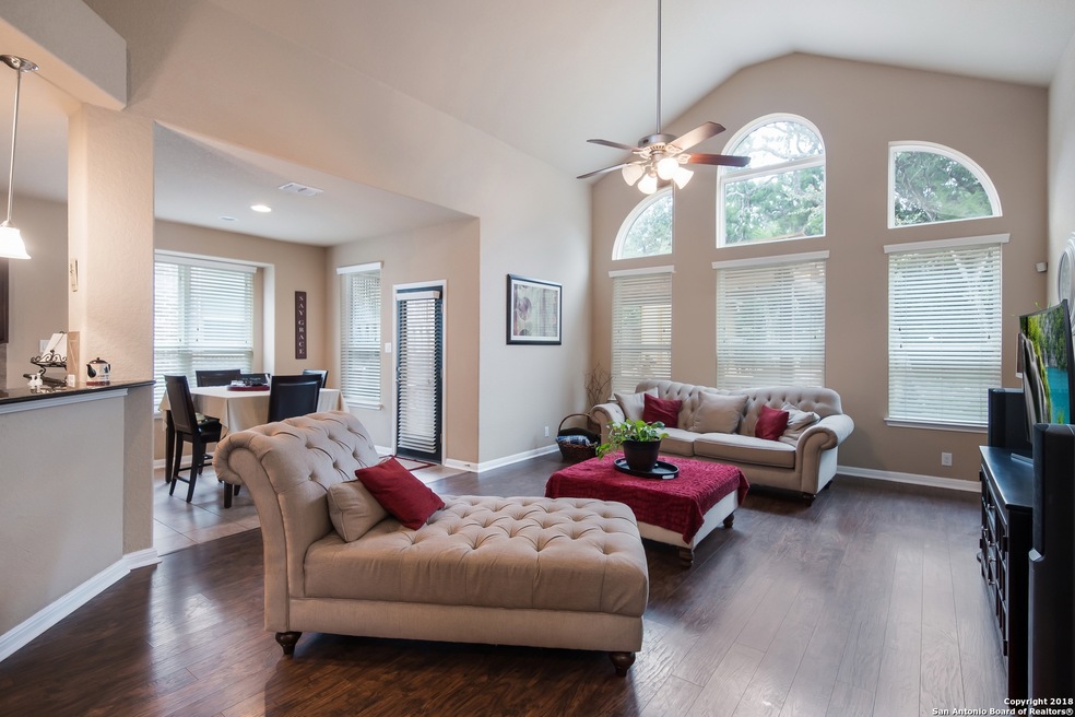 10523 Alcantara, Helotes, TX 78023 - photo 1