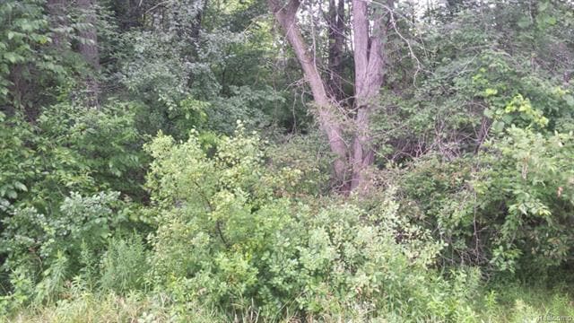 This is a view of the property.