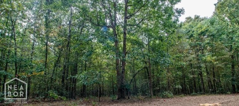 20 Greene 737 Rd, Paragould, AR 72450 - photo 1