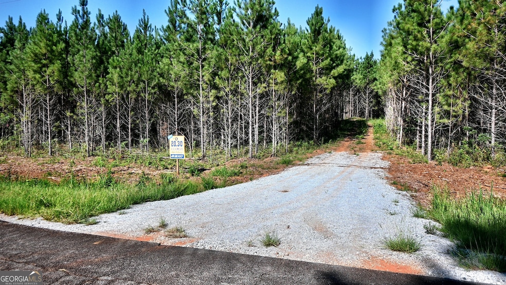 20 Bagley Rd, Forsyth, GA 31029 - photo 1