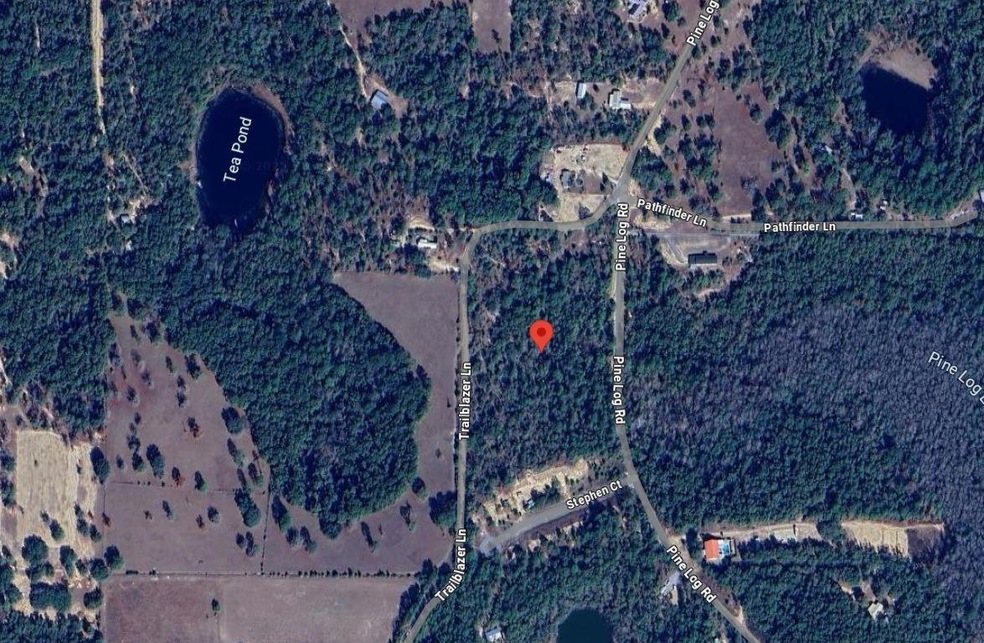 Tbd Pine Log Rd, Chipley, FL 32428 - photo 1
