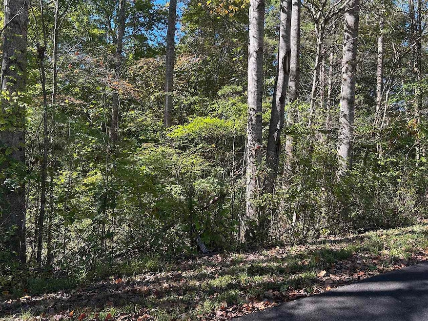 Lot 47A Walleye Way, Scottsville, KY 42164 - photo 1