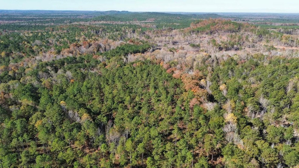 21 Lee Road 254, Salem, AL 36874 - photo 1