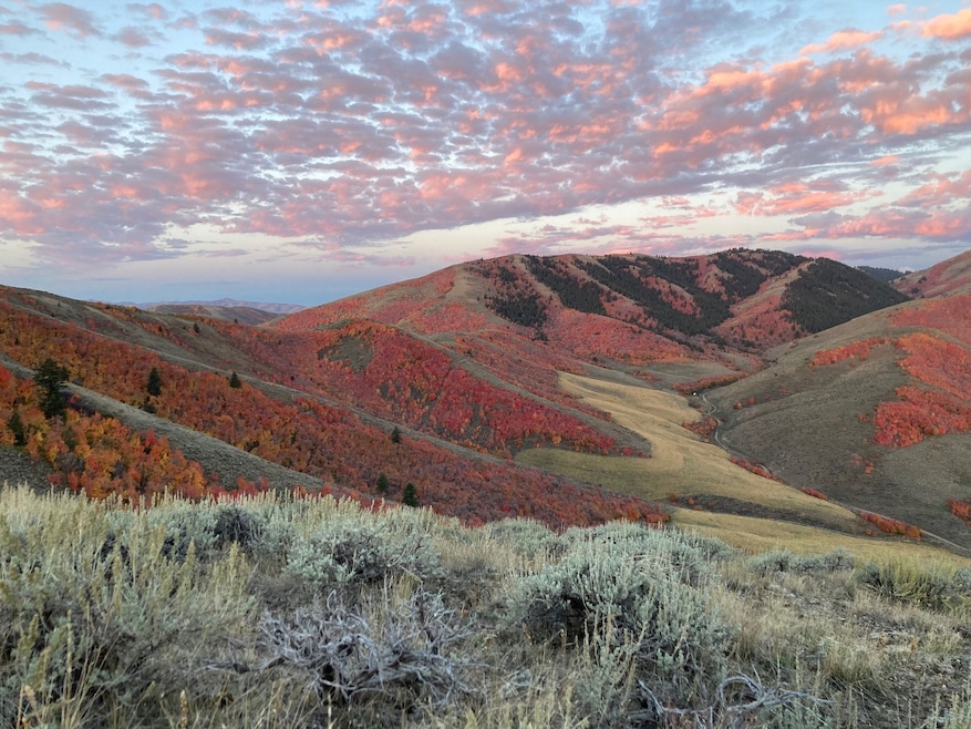 300 N Canyon Rd, Malad City, ID 83252 - photo 1