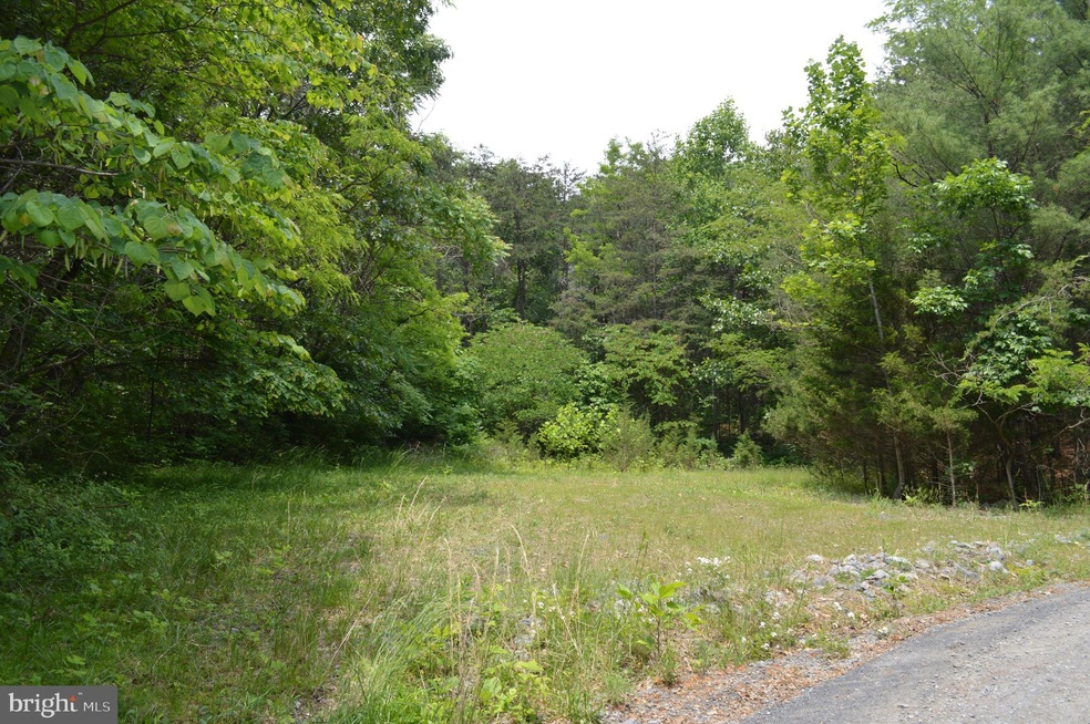 0 Wren Ln unit VASH116002, Strasburg, VA 22657 - photo 1