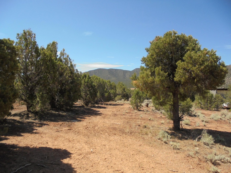DSC05480