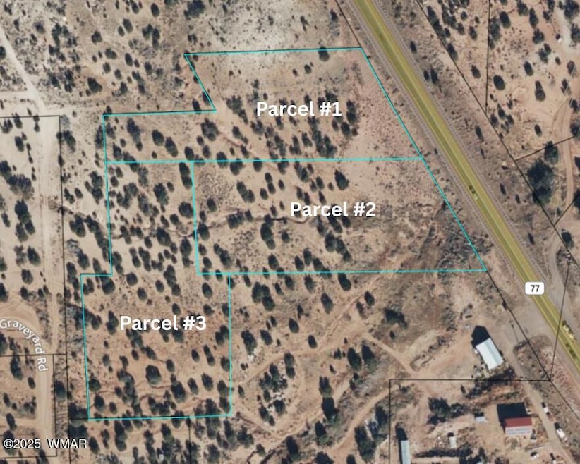 Parcels123 W Shumway Rd, Taylor, AZ 85901 - photo 1