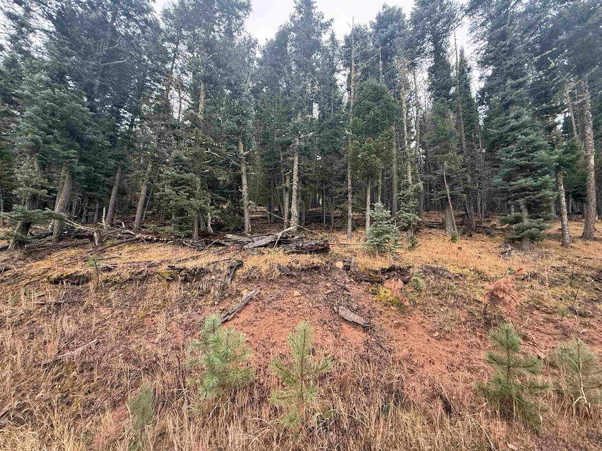 Lot 29 San Andres Terrace, Angel Fire, NM 87710 - photo 1