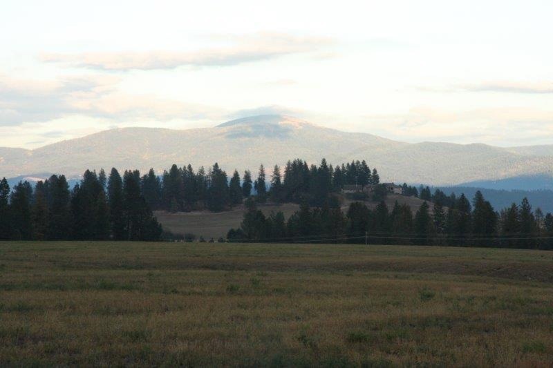 XXXX N Division Rd Tract 7, Colbert, WA 99005 - photo 1