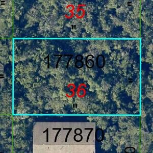 C-605-db0a6741b2d8401f915a42bee5a9424b